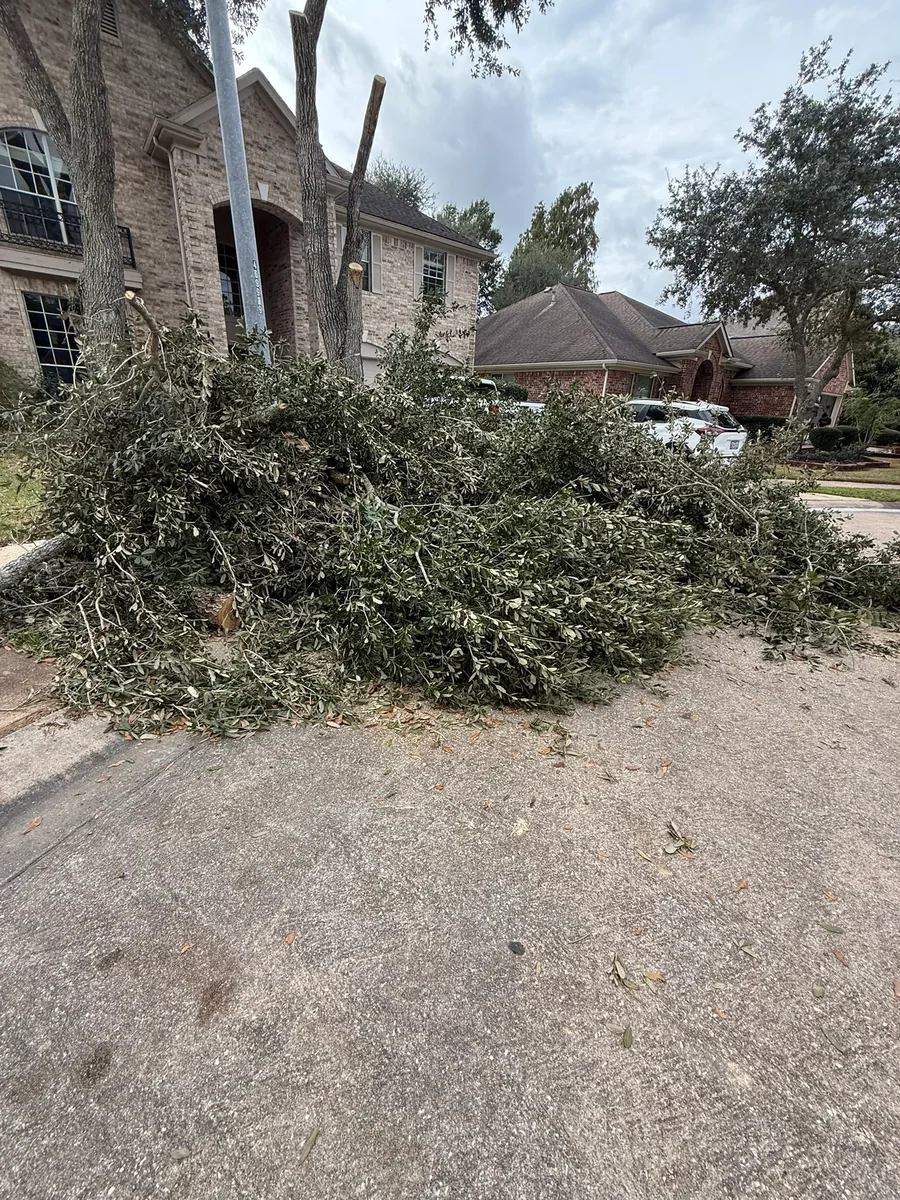 Yard Waste Removal project handled by Junkx Removal LLC